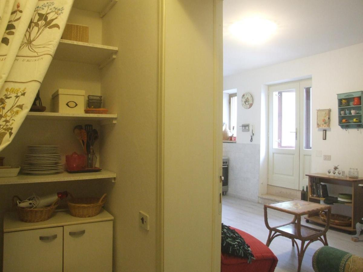 Vacanze Toscane In The Country - Villa Agrifogli Сассетта Екстер'єр фото