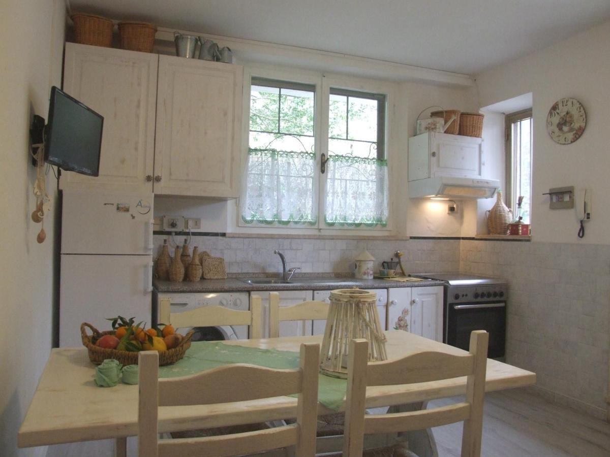 Vacanze Toscane In The Country - Villa Agrifogli Сассетта Екстер'єр фото