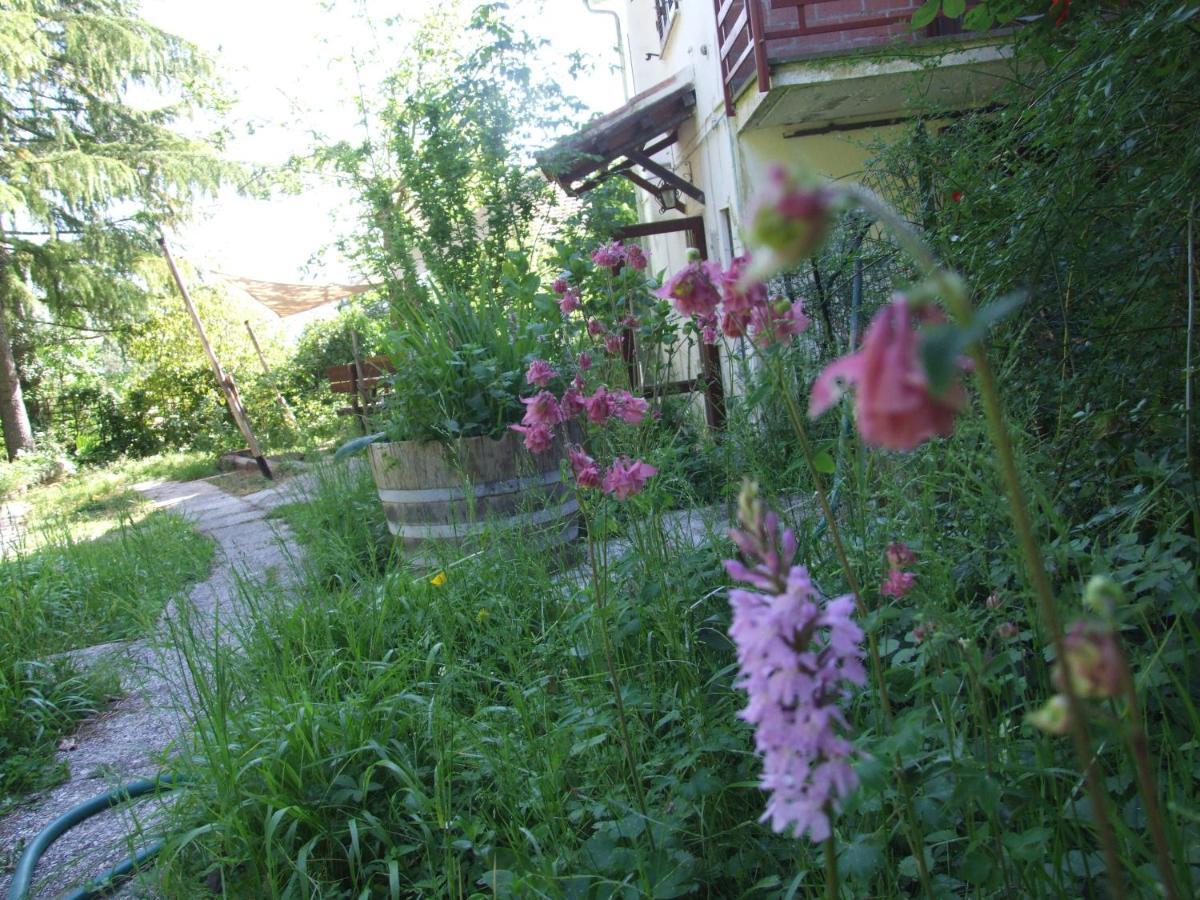 Vacanze Toscane In The Country - Villa Agrifogli Сассетта Екстер'єр фото