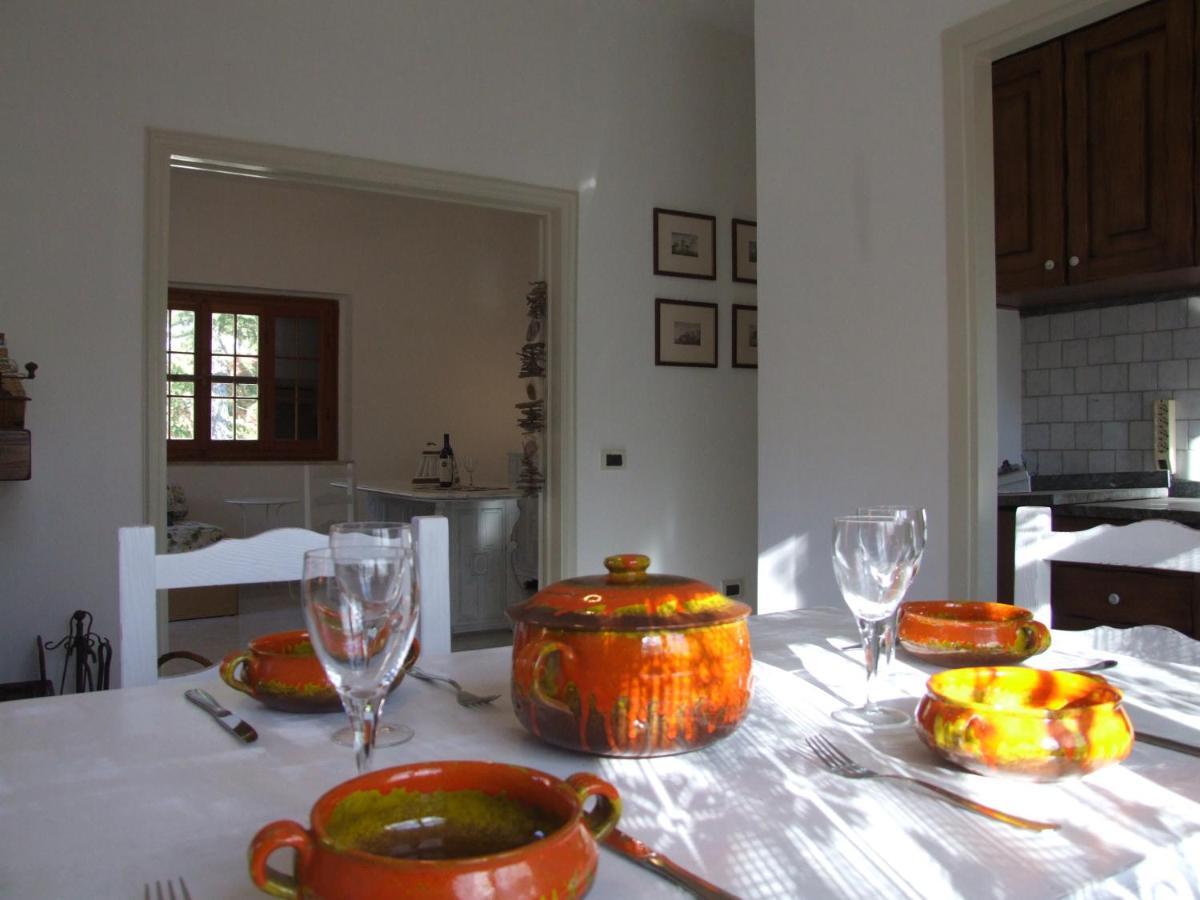 Vacanze Toscane In The Country - Villa Agrifogli Сассетта Екстер'єр фото