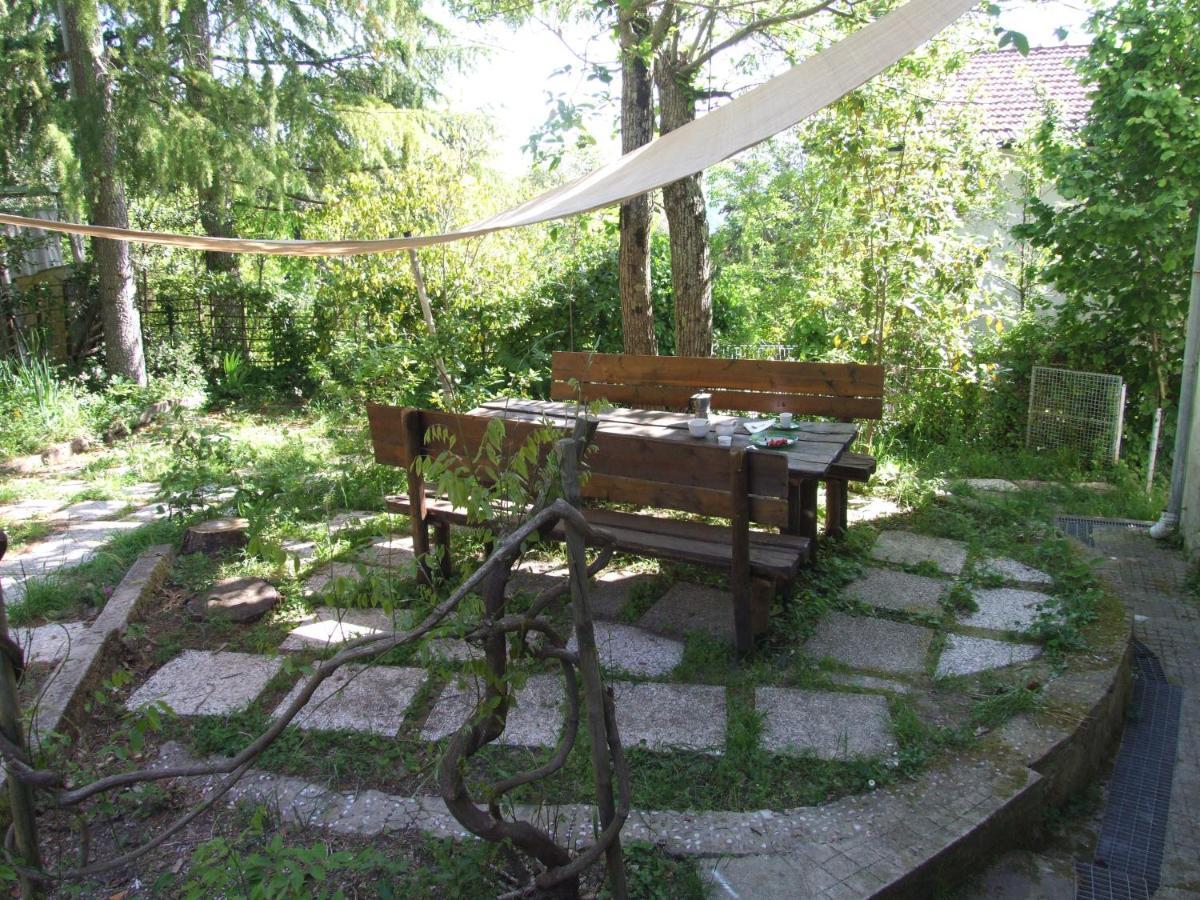 Vacanze Toscane In The Country - Villa Agrifogli Сассетта Екстер'єр фото