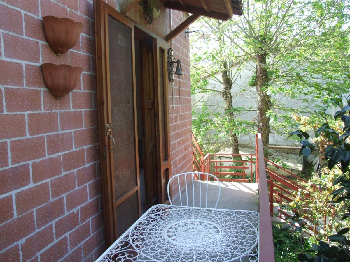 Vacanze Toscane In The Country - Villa Agrifogli Сассетта Екстер'єр фото