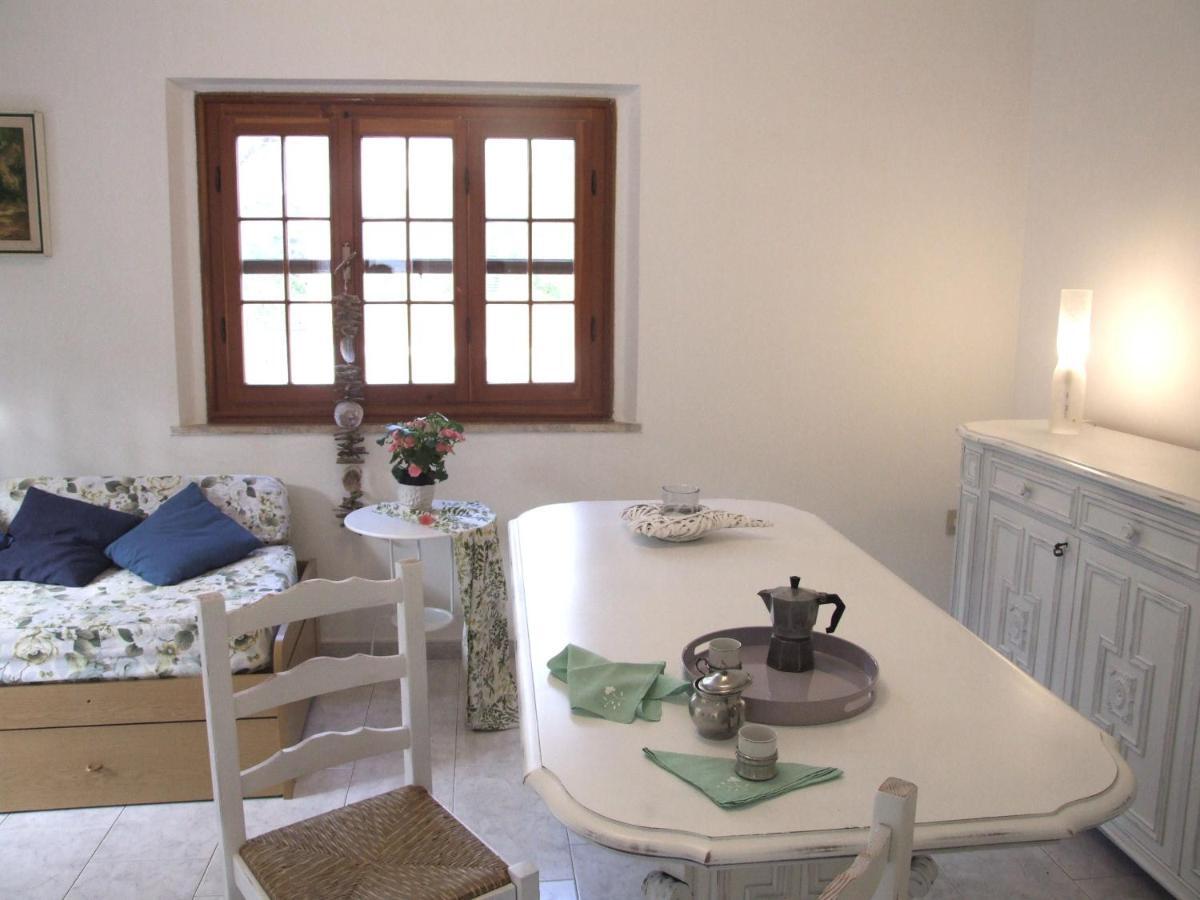 Vacanze Toscane In The Country - Villa Agrifogli Сассетта Екстер'єр фото
