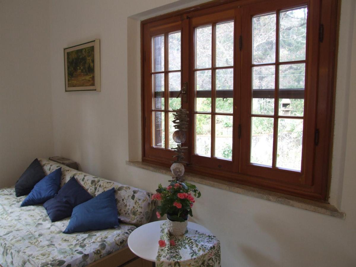 Vacanze Toscane In The Country - Villa Agrifogli Сассетта Екстер'єр фото