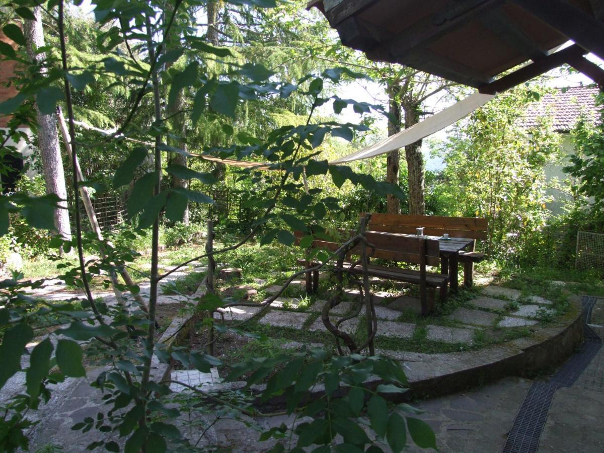 Vacanze Toscane In The Country - Villa Agrifogli Сассетта Екстер'єр фото