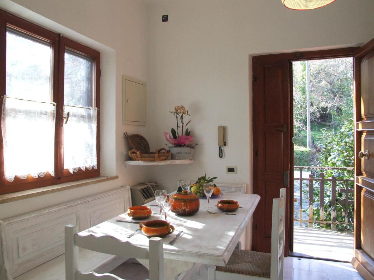 Vacanze Toscane In The Country - Villa Agrifogli Сассетта Екстер'єр фото