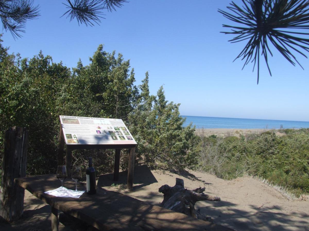 Vacanze Toscane In The Country - Villa Agrifogli Сассетта Екстер'єр фото