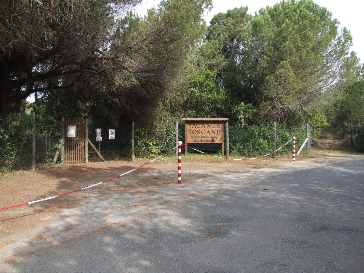 Vacanze Toscane In The Country - Villa Agrifogli Сассетта Екстер'єр фото